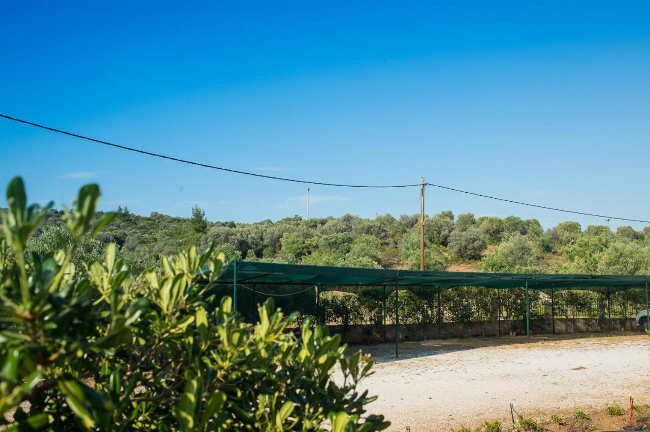 דירות מטהמורפוסי Monopetro מראה חיצוני תמונה